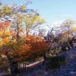 Enrique GarciÌa Bravo 4